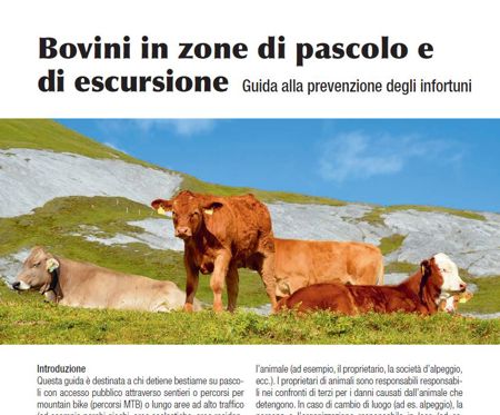 Guida alla prevenzione & lista di controllo "Bovini in zone di pascolo e di escursione"