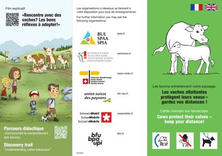 Flyer "Les vaches allaitantes protègent leurs veaux"
