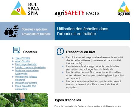 Utilisation des échelles dans l’arboriculture fruitière