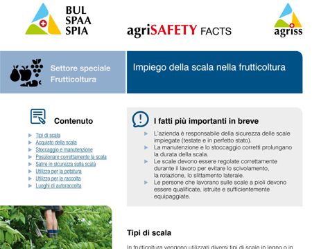 Impiego della scala nella frutticoltura