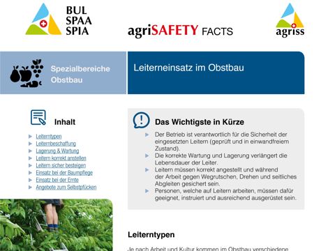 Leiterneinsatz im Obstbau