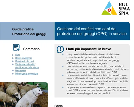 Guida pratica Gestione dei conflitti con cani da protezione dei greggi (CPG) in servizio