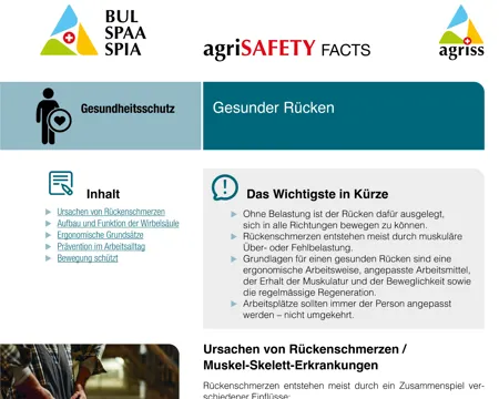 Gesunder Rücken