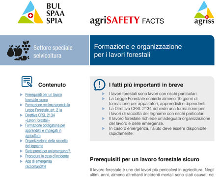 Formazione e organizzazione per i lavori forestali