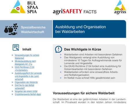 Ausbildung und Organisation bei Waldarbeiten