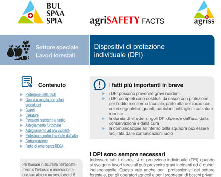 Lavori forestali - Dispositivi di protezione individuale (DPI)