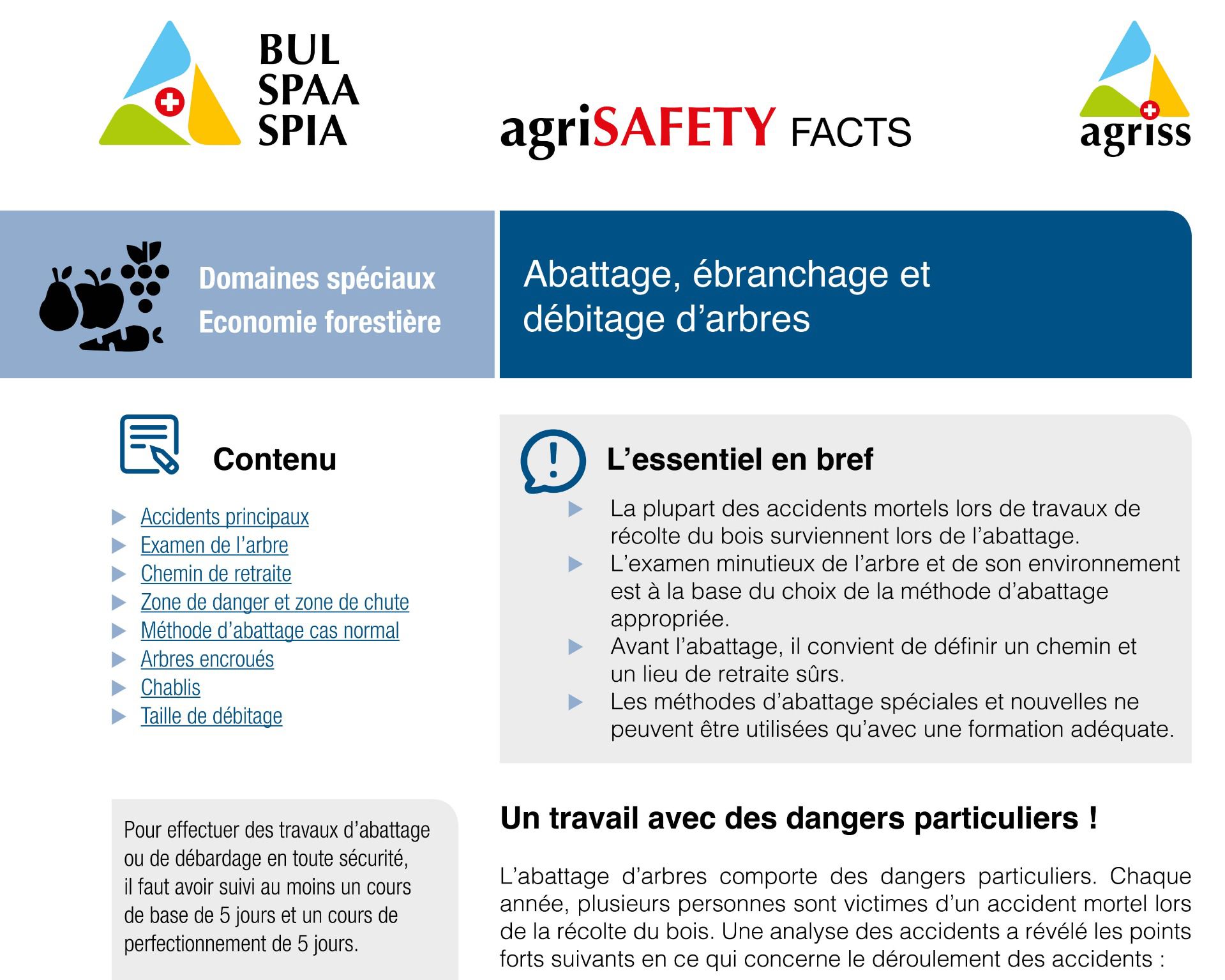 Abattage, ébranchage et débitage d