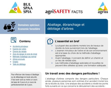 Abattage, ébranchage et débitage d'arbres