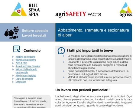 Abbattimento, sramatura e sezionatura di alberi