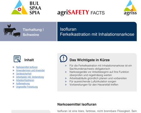 Isofluran: Ferkelkastration mit Inhalationsnarkose