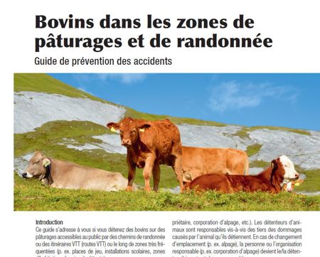 Guide de prévention / check-list "Bovins dans les zones de pâturages et de randonnée"