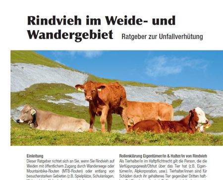 Ratgeber & Checkliste "Rindvieh im Weide- und Wandergebiet"