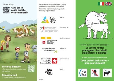 Flyer "Le vacce nutrici protteggono i loro vitelli"