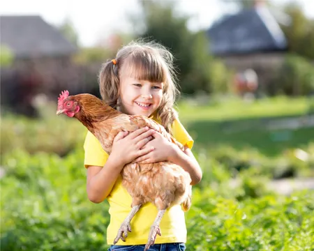 Sicherheits-Check "Agrotourismus"