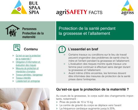 Protection de la santé pendant la grossesse et l'allaitement