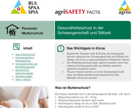 Gesundheitsschutz in der Schwangerschaft und Stillzeit